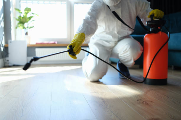 Reliable Odor Removal contractor in Montrose, MI by Trauma Clean Pros